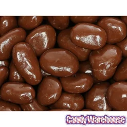 Albanese Milk Chocolate Covered Raisins Candy - Jumbo: 5LB Bag -CANDY WAREHOUSE Sales albanese milk chocolate covered raisins candy jumbo 5lb bag candy warehouse 4