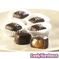 Asher's Dark Chocolate Sea Salt Caramels: 12-Piece Box -CANDY WAREHOUSE Sales asher s dark chocolate sea salt caramels 12 piece box candy warehouse 5 6f8a1732 bcd6 4123 b71b 3953d9eab3cc