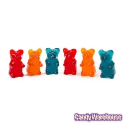 Big Gummy Bears: 6-Piece Pack 10 Big Gummy Bears: 6-Piece Pack -CANDY WAREHOUSE Sales big gummy bears 6 piece pack candy warehouse 5
