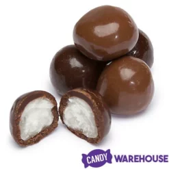 Brach's Chocolate Bridge Mix Candy: 8-Ounce Bag -CANDY WAREHOUSE Sales brach s chocolate bridge mix candy 8 ounce bag candy warehouse 3