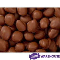 Brach's Double Dippers Milk Chocolate Covered Peanuts: 12-Ounce Bag -CANDY WAREHOUSE Sales brach s double dippers milk chocolate covered peanuts 12 ounce bag candy warehouse 4 7a6bd210 22d2 46b8 86dc 4fa28e85147b