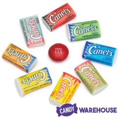 Canel's Miniature Chewing Gum: 220-Piece Bag 6 Canel's Miniature Chewing Gum: 220-Piece Bag -CANDY WAREHOUSE Sales canel s miniature chewing gum 220 piece bag candy warehouse 3