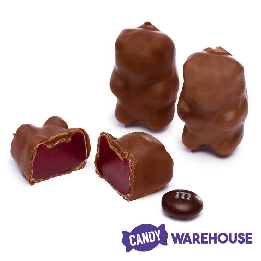 Chocolate Covered Cinnamon Bears: 3LB Bag 2 Chocolate Covered Cinnamon Bears: 3LB Bag - Image 2