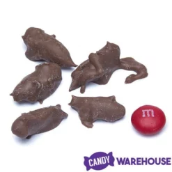 Chocolate Covered Crickets: 100-Piece Tub -CANDY WAREHOUSE Sales chocolate covered crickets 100 piece tub candy warehouse 3
