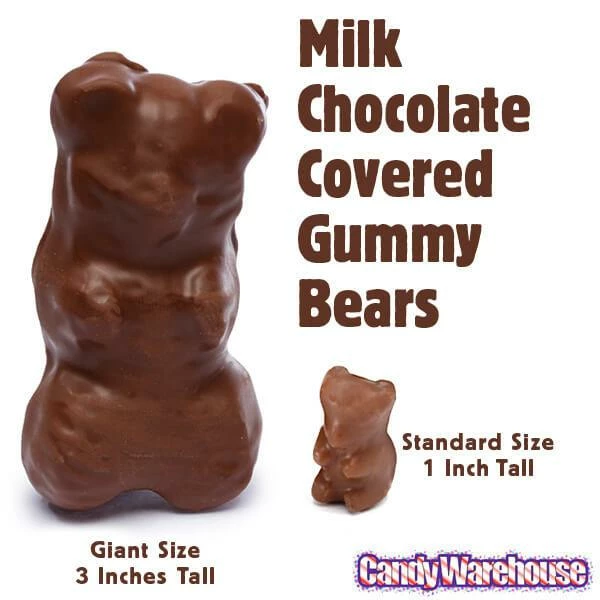 Chocolate Covered Jumbo Gummy Bears: 5LB Box 2 Chocolate Covered Jumbo Gummy Bears: 5LB Box - Image 2
