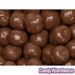 Chocolate Covered S'Moresels: 2LB Bag -CANDY WAREHOUSE Sales chocolate covered s moresels 2lb bag candy warehouse 3