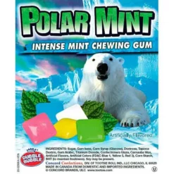 Dubble Bubble Chiclets Chewing Gum Tabs - Polar Mint: 1.5LB Jar -CANDY WAREHOUSE Sales dubble bubble chiclets chewing gum tabs polar mint 1 5lb jar candy warehouse 6