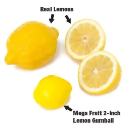 Dubble Bubble Mega Fruit 2-Inch Gumballs: 138-Piece Case 8 Dubble Bubble Mega Fruit 2-Inch Gumballs: 138-Piece Case -CANDY WAREHOUSE Sales dubble bubble mega fruit 2 inch gumballs 138 piece case candy warehouse 4 1db9c377 69f2 4258 8701 0023d62dfae6