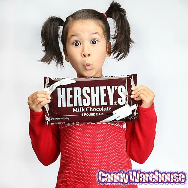 Hershey's 1-Pound Milk Chocolate Bar 2 Hershey's 1-Pound Milk Chocolate Bar - Image 2
