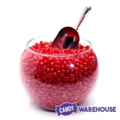 Jelly Belly Sizzling Cinnamon: 10LB Case 7 Jelly Belly Sizzling Cinnamon: 10LB Case -CANDY WAREHOUSE Sales jelly belly sizzling cinnamon 10lb case candy warehouse 4