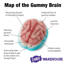 Jelly Filled Gummy Brains: 1KG Bag -CANDY WAREHOUSE Sales jelly filled gummy brains 1kg bag candy warehouse 3