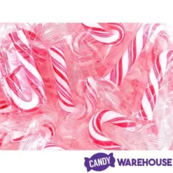 Mini Candy Canes - Red And White: 100-Piece Tub 13 Mini Candy Canes - Red And White: 100-Piece Tub -CANDY WAREHOUSE Sales mini candy canes red and white 100 piece tub candy warehouse 7