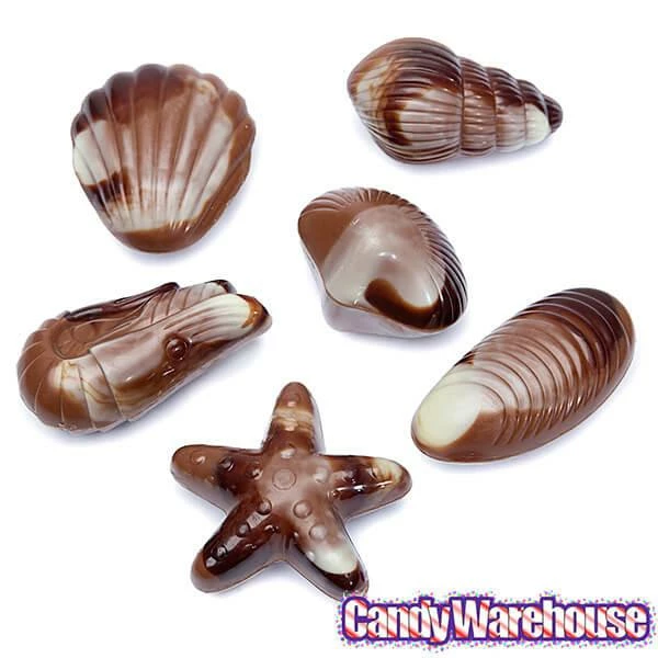 Nautilus Belgian Chocolate Seashells: 18-Piece Box 2 Nautilus Belgian Chocolate Seashells: 18-Piece Box - Image 2