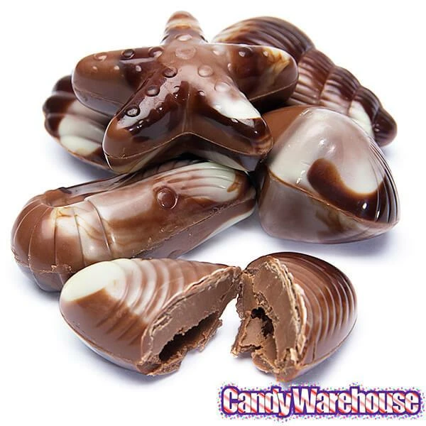 Nautilus Belgian Chocolate Seashells: 18-Piece Box 5 Nautilus Belgian Chocolate Seashells: 18-Piece Box - Image 5