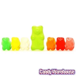 Tiny Gummy Bears Candy: 5LB Bag -CANDY WAREHOUSE Sales tiny gummy bears candy 5lb bag candy warehouse 3