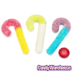Trolli Sour Brite Mini Canes Jelly Candy Canes: 9-Ounce Bag -CANDY WAREHOUSE Sales trolli sour brite mini canes jelly candy canes 9 ounce bag candy warehouse 4